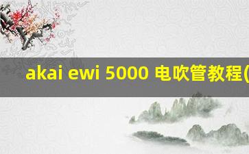 akai ewi 5000 电吹管教程(8)